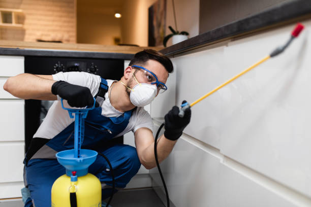 Trusted Ozark, AR Pest Control Experts
