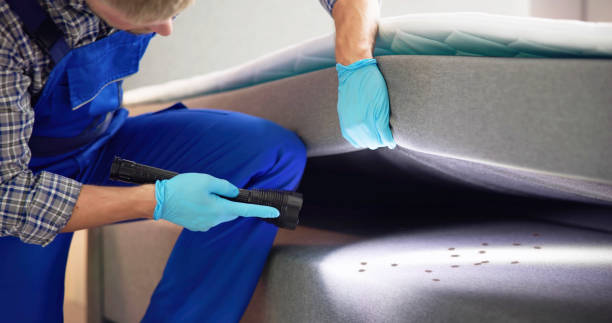Best Pest Prevention Services  in Ozk, AR