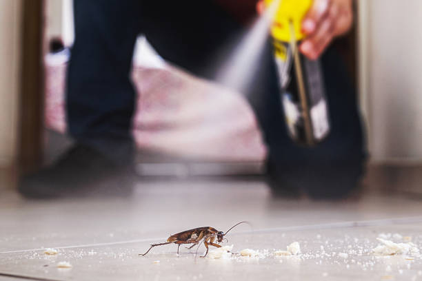 Best Local Pest Control Services  in Ozk, AR