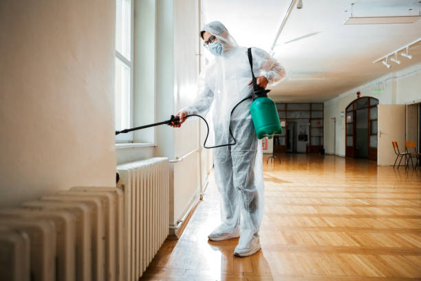 Best Mosquito Control Services  in Ozk, AR