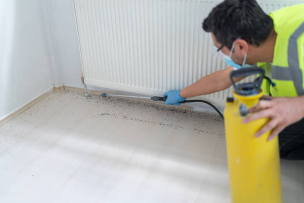 Best Bed Bug Extermination  in Ozk, AR
