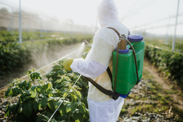 Best Residential Pest Control  in Ozk, AR